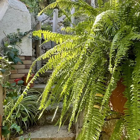 Holiday home La Moledera 112 *